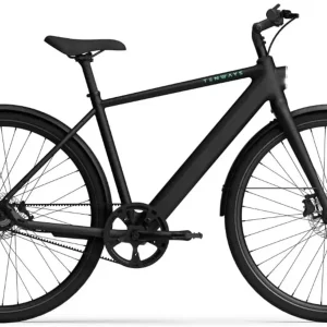 TENWAYS CGO600 PRO Elektrische Herenfiets L (1.80m - 1.95m)