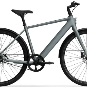 TENWAYS CGO600 PRO Elektrische Herenfiets XL (1.85m - 1.95m)