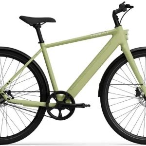 TENWAYS CGO600 PRO Elektrische Herenfiets XL (1.85m - 1.95m)